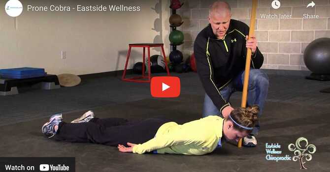 Prone Cobra